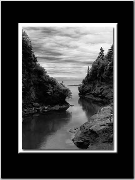 Cove BW