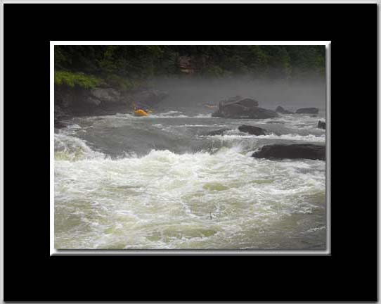 Gauley